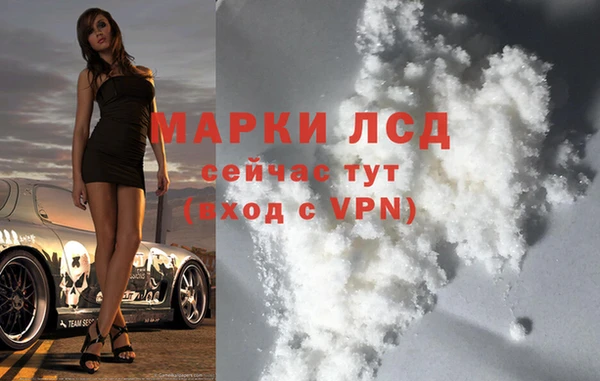 стафф Богданович