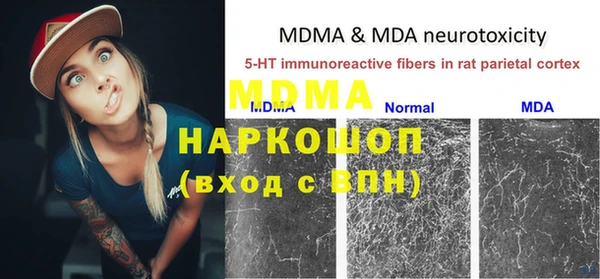 стафф Богданович