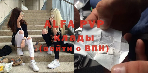 стафф Богданович