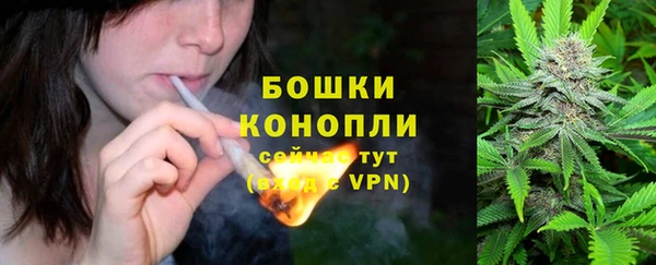 стафф Богданович