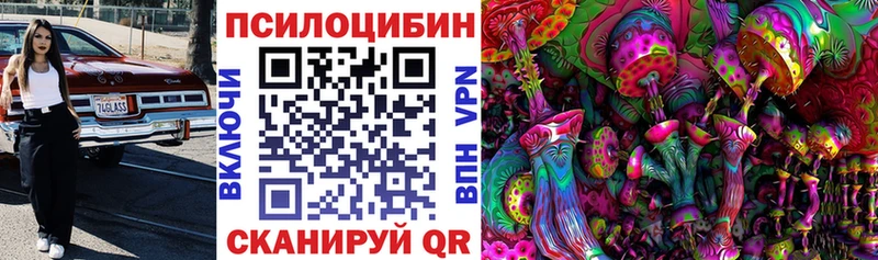 Галлюциногенные грибы Magic Shrooms Купить где Венёв