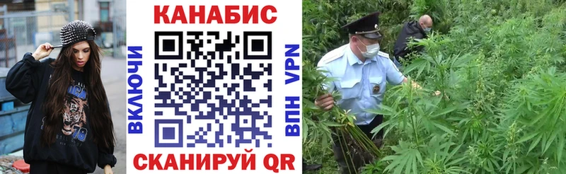 Каннабис Bruce Banner  Купить закладки  Венёв 